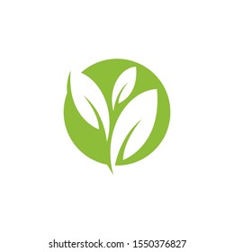 nature green leaf element vector icon. green leaves vector symbol