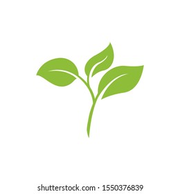 nature green leaf element vector icon. green leaves vector symbol