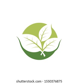 nature green leaf element vector icon. green leaves vector symbol