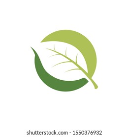 nature green leaf element vector icon. green leaves vector symbol