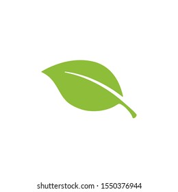 nature green leaf element vector icon. green leaves vector symbol