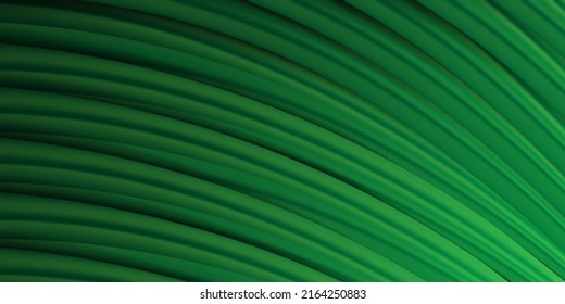 Nature of green leaf in garden at summer. Natural green leaves plants using as spring background cover page greenery environment ecology wallpaper.