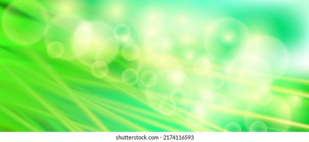 Nature of green leaf in garden at summer. Natural green leaves plants using as spring background cover page greenery bokeh environment ecology wallpaper.