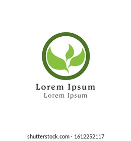 nature green leaf logo icon. leaf symbol icon.