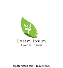 nature green leaf logo icon. leaf symbol icon.