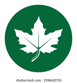 nature green leaf logo illustration 