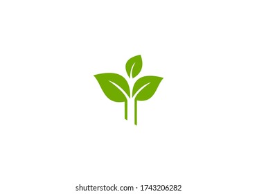diseño vectorial de hoja verde natural