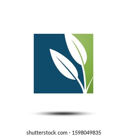 Nature Green Leaves Icon Vector Logo Template, EPS 10