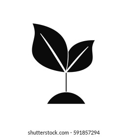 Nature green plant icon vector illustration graphic design
