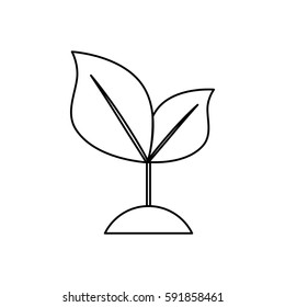 Nature green plant icon vector illustration graphic design