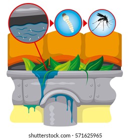 Nature, gutter with still water with mosquito stilt focus. Ideal for informational and institutional related sanitation and care.