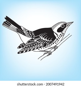 nature hand Drawing bird illustration  