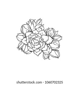 Nature hand drawn beautiful flower, line art, vector illustration isolated on white background