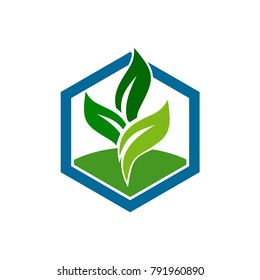 Nature Hexagon Logo