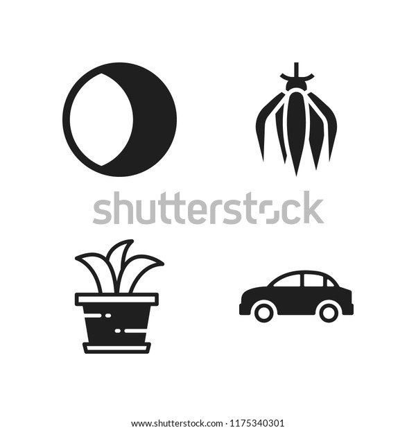nature icon. 4 nature\
vector icons set. car, planet and plant icons for web and design\
about nature theme