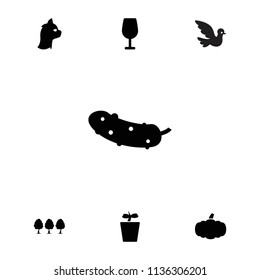 Nature icon. collection of 7 nature filled icons such as cocktail, cucumber, plant in pot, pumpkin, tree, cat. editable nature icons for web and mobile.