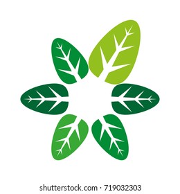 A nature icon with different colored leaves