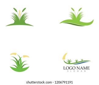 Nature icon logo design vector illustrartion