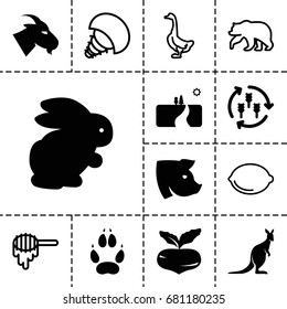 Nature icon. set of 13 filled and outline nature icons such as harvest, rabbit, beet, goat, kangaroo, pig, animal paw, landscape, bear, goose, honey, lemon