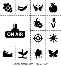 Nature icon. set of 13 filled nature icons such as butterfly, buffalo, wings, spa stone, apple, banana, grape, open air, plant, sun, flower