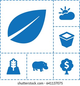 Nature icon. set of 6 nature filled icons such as hippopotamus, leaf, pot for plants, tree, money tree