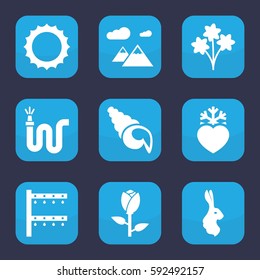 nature icon. Set of 9 filled nature icons such as rose, rabbit, water hose, irrigation system, heart frozen, sun, mountain, shell