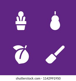 nature icon set. apricot, quince and cactus vector icon for graphic design and web