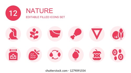 nature icon set. Collection of 12 filled nature icons included Penguin, Holly, Salad, Chicken, Water, Ink, Strawberry, Energy, Guava, Apple, Coconut, Blood