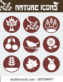 Nature icon set including icons of  maple leaf, flowered sakura branch, oak tree, sunflower, bird on the branch, cherry, pear, wheat and seedling. Flat vector design. 