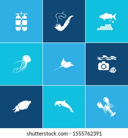 Nature icon set and jellyfish with caviar, smoking pipe and twin tank. Crab related nature icon vector for web UI logo design.