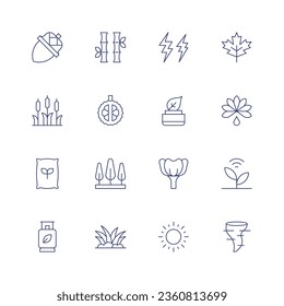 Nature icon set. Thin line icon. Editable stroke. Containing acorn, bamboo, cattail, durian, fertilizer, gas, grass, lightning, maple leaf, natural product, palm oil, poppy, smart farm, sun, tornado.