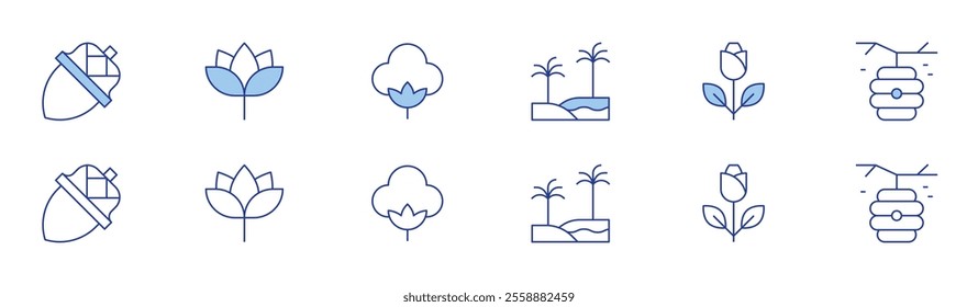 Nature icon set in two styles, Duotone and Thin Line style. Editable stroke. acorn, lotus, oasis, rose, beehive, cotton.