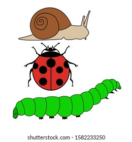 nature icon vector collection. doodle. ilustration