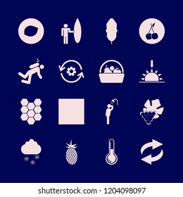 nature icon. nature vector icons set cherry, fresh pineapple, sunset and recycle sign