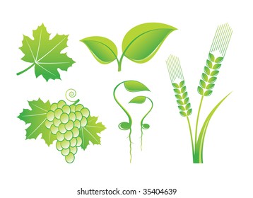 Iconos naturales