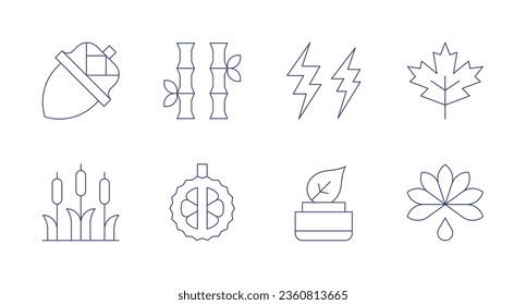 Nature icons. editable stroke. Containing acorn, bamboo, cattail, durian, lightning, maple leaf, natural product, palm oil.