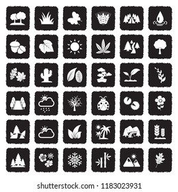 Nature Icons. Grunge Black Flat Design. Vector Illustration. 