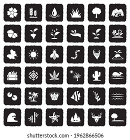 Nature Icons. Grunge Black Flat Design. Vector Illustration.