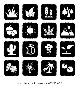 Nature Icons. Grunge Black Flat Design. Vector Illustration. 