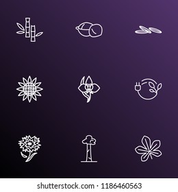 Nature icons line style set with chestnut leaf, bio energy, carnation and other marula elements. Isolated vector illustration nature icons.