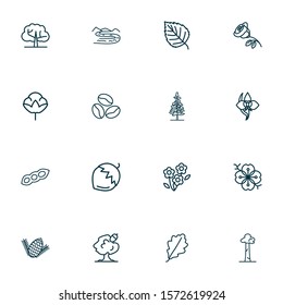 Nature icons line style set with coffee bean, orchid, oak leaf and other fir cone elements. Isolated vector illustration nature icons.