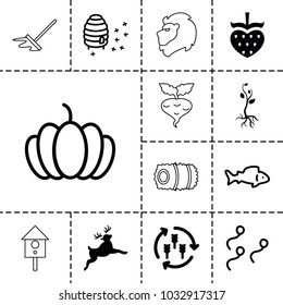 Nature icons. set of 13 editable filled and outline nature icons such as harvest, fish, pumpkin, honeycomb, sperm, deer, hay, beet, lion, mop, sprout, nesting house