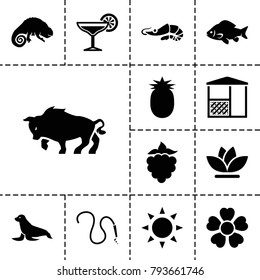 Nature icons. set of 13 editable filled nature icons such as sun, fish, chameleon, flower, cocktail, pineapple, mulberry, alligator, buffalo, seal, water hose