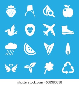 Nature icons set. set of 16 nature filled icons such as strawberry, spinach, lion, wings, Clover, recycle, rain, pine-tree, drop under magnifier, leaf, love bird, watermelon