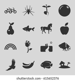 Nature icons set. set of 16 nature filled icons such as orange, horse, spider, buffalo, eagle, fish, Banana, pear, sprout, rose, home on island, rainbow, landscape