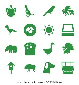 Nature icons set. set of 16 nature filled icons such as sun, leaf, hog, bear, lion, kangaroo, parrot, goose, fish, nesting house, pepper, square plant pot, drink, dinosaur