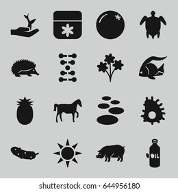 Nature icons set. set of 16 nature filled icons such as orange, oil, fish, hedgehog, pig, flower, cucumber, plant on hand, turtle  illsutration, sun, pineapple