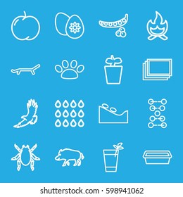nature icons set. Set of 16 nature outline icons such as hog, beetle, eagle, apple, peas, photos, spa stone, pot for plants, plant in pot, easter egg, cocktail, drop, paw, sun