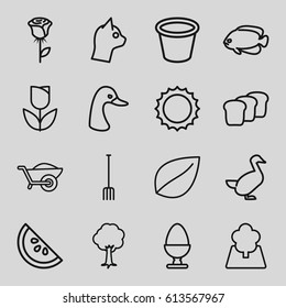 Nature icons set. set of 16 nature outline icons such as goose, fish, leaf, pitchfork, wheelbarrow, pot for plants, tree, sun, egg, bread, watermelon, rose, tulip