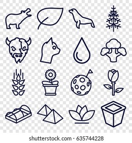 Nature icons set. set of 16 nature outline icons such as hippopotamus, goat, seal, wheat, rose, water drop, pot for plants, flower pot, flower, pine-tree, greenohuse, broccoli